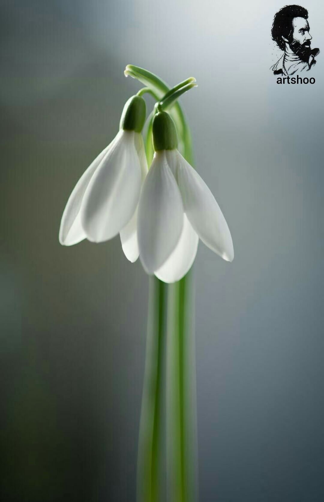 آموزش نقاشی رنگ روغن